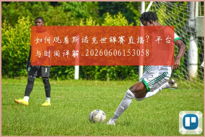篮球明星退役后生活：转型教练、老板与解说_20260523200256