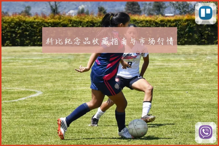 科比纪念品收藏指南与市场行情