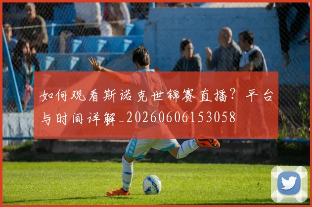 篮球明星退役后生活：转型教练、老板与解说_20260523200256
