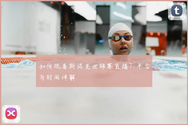 篮球明星退役后生活：转型成功的典范